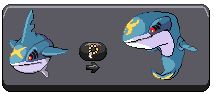 Sharpedo ! Go !