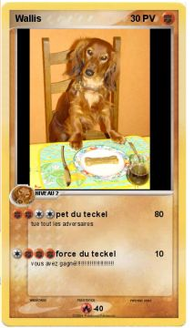 pokécarte de Wallis(stade3)