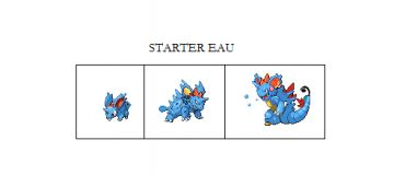 fiche de starter (eau)