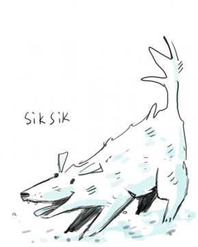 Siksik le chien inuit