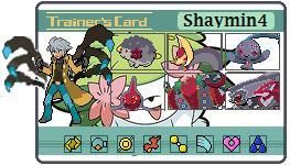 My T-Card