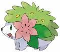 shaymin le gardien du ciel