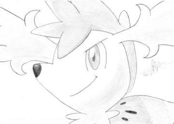shaymin mon pokemon preferer