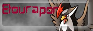 Mes premier GFX !