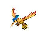 oiseau