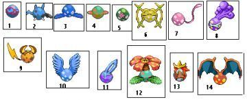 concour pokemon