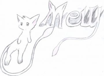 Commende de spirit mew