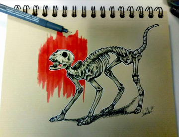 C'est un chat.