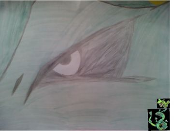 rayquaza 