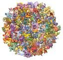 trouver paras ou  plus petit (apart taupiqueure)