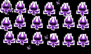 Pokémon caché dans les nega-wisps