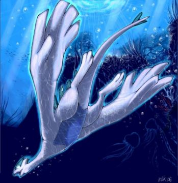Serein (image prise de ce site)