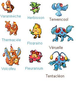 Starters d'Orcadia