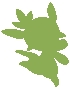 Chespin : BIIIIIIIIIM (...) #TitreConstructif
