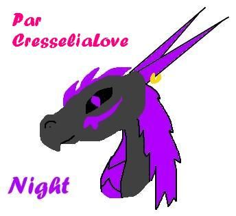 Night