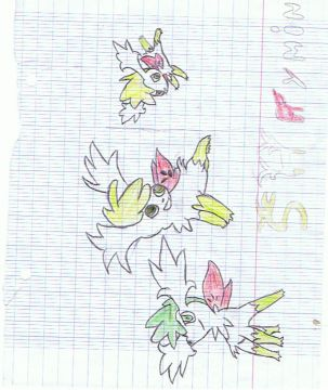 3 pitit Shaymin