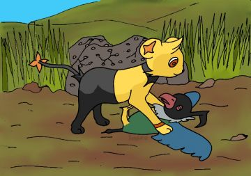 Roi Lion, 2ème dessin