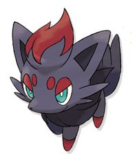 zorua