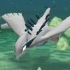 Lugia