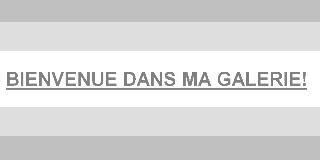 Bienvenue dans ma galerie!