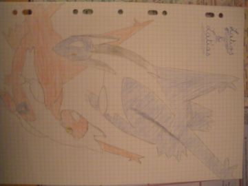 #380 et #381: Latios et Latias