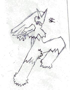 BRASEGALI