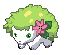 shaymin