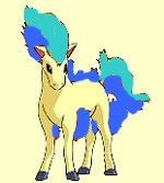 ponyta