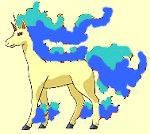 l'évolution de ponyta
