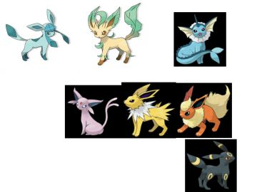 les diferente evolution devoli