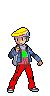 New dresseur