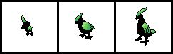 Starters plante