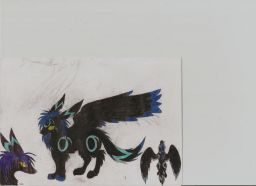 Hexa the shiny umbreon