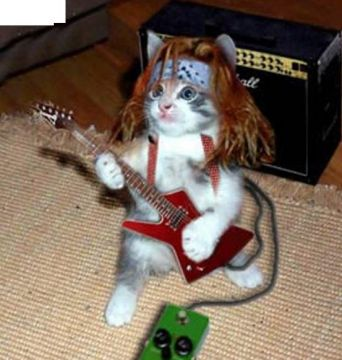 mini rokeur version chat !
