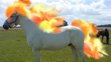 Et au détour d'un chemin, un Ponyta !