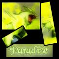 Sign' Tyranocif, for Paradize