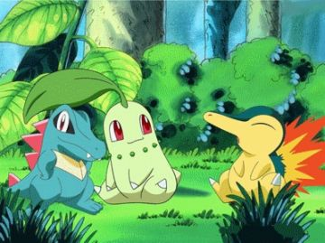 voila les 3 pokémon de départ de johto 