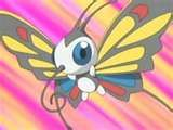 papillon