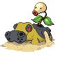 Hippodocus + Chétiflor