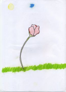 Une fleur 