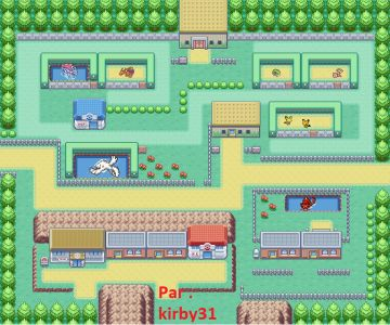 My pokemon park !