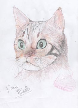 Un zoli minou !