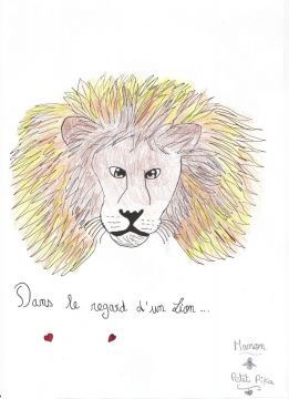 Dans le regard d'un Lion ...