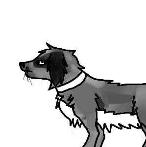 mon chien