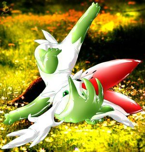 Shaymin forme célèste