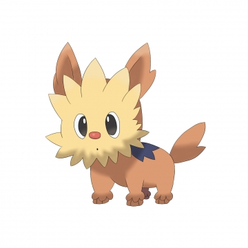 "Hasar"dex #02 : Ponchiot (et pas poncho)