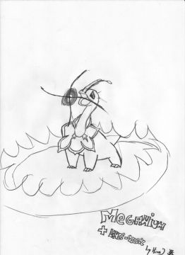 Meganium + Lance-Soleil