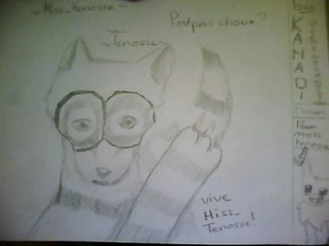 PoUr MiSs_TeNoSsE!