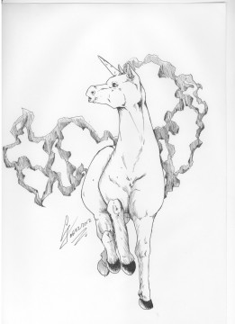 Galopa noir et blanc