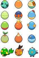 Oeufs de Starters